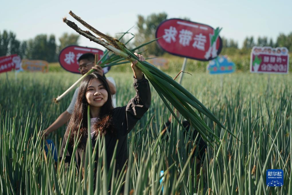 娱乐送彩金平台